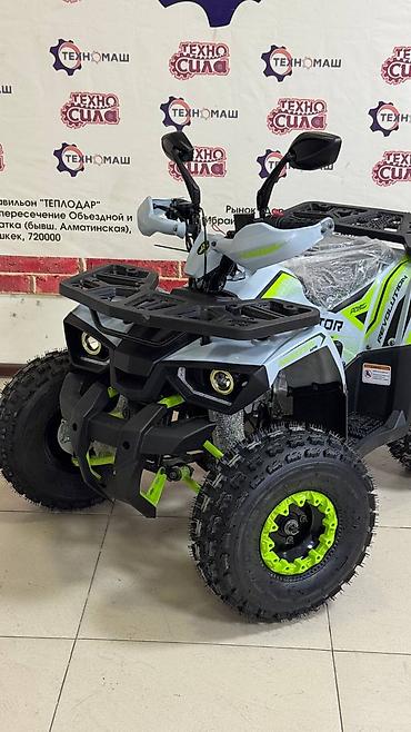 devo tiko: TAO MOTOR HUNTER 125 — современный подростковый квадроцикл для — 8