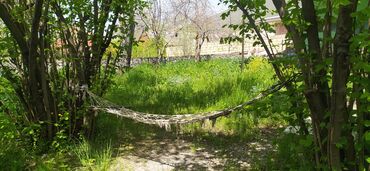 Bağ evlərinin kirayəsi: 200 kv. m, 3 otaqlı, Hovuzsuz, Artezian quyusu, Telefon, Qaz — 15