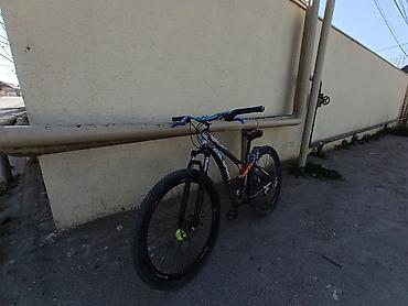 Dağ velosipedləri: Dağ velosipedi – APL Sport - Çərçivə: demir, müasir enduro/trekking — 8