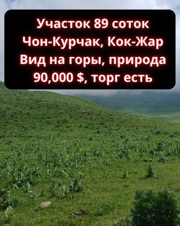 участок вдоль реки: 89 соток, Для бизнеса