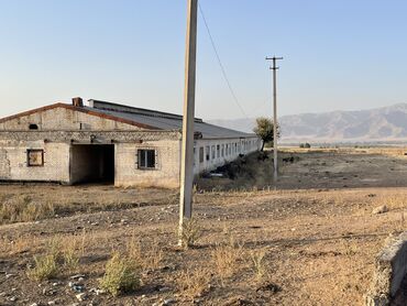 продажа дома иссык куль кашара сарай: 350 соток, Для сельского хозяйства, Красная книга, Тех паспорт