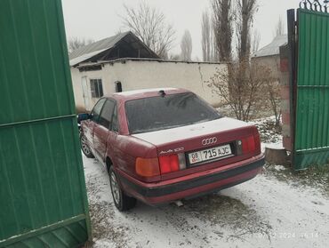 Audi: Audi 100: 1991 г., 2 л, Газ