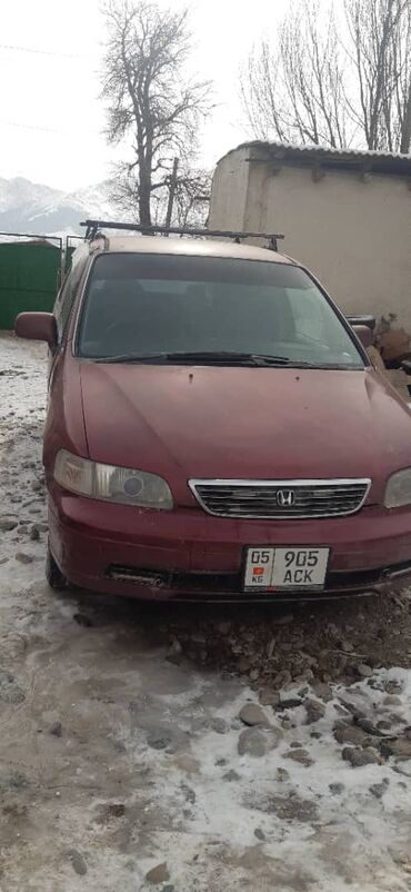 honda odyssey 1997: Honda Odyssey: 1997 г., 2.3 л, Автомат, Бензин, Минивэн