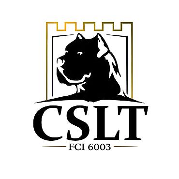 Psi: Cane Corso štenci U ponudi veoma perspektivni štenci iz različitih — 10