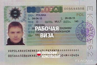 тур виза: Оказываем помощь в заполнении : -анкеты в Польшу( рабочая виза D)