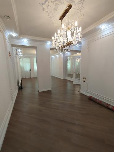 bir otaql: 3 otaqlı, Yeni tikili, 181 kv. m — 5