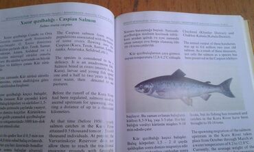 Ensiklopediyalar: Müxtəlif kitablar satılır. Biri 40 manat. "Nərəkimilər - dinozavrların -da lalafo.az — 16 Ensiklopediyalar: Müxtəlif kitablar satılır. Biri 40 manat. "Nərəkimilər - dinozavrların — 16