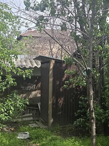 Долгосрочная аренда домов: 38 м², 1 комната — 15