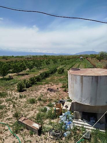 Продажа участков: 200 соток, Для сельского хозяйства — 20