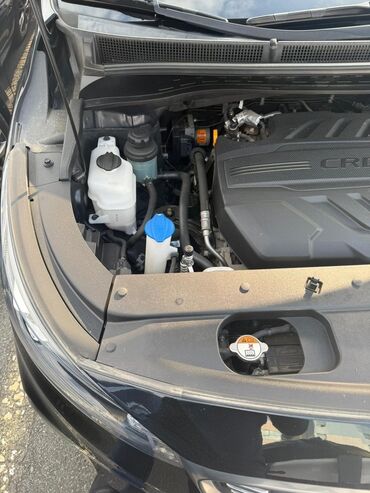 Kia: Kia Carnival: 2019 г., 2.2 л, Автомат, Дизель, Минивэн — 13