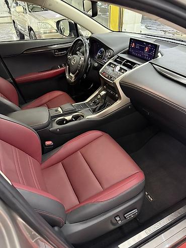 Lexus: Lexus NX: 2020 г., 2.5 л, Вариатор, Гибрид, Кроссовер — 12