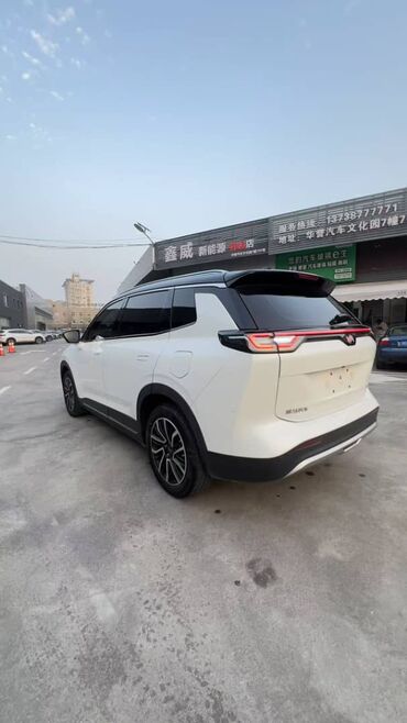 Weltmeister: Weltmeister W6, 2022 г., 40000 км, Передний, На заказ — 14