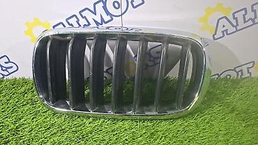степ решотка: BMW X5 F15, левая решётка радиатора — 1