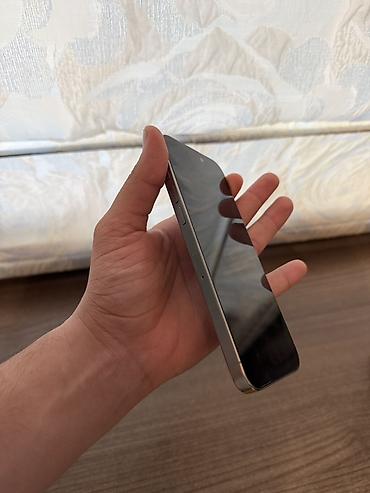 iphone 2: IPhone 15 Pro Max, 256 GB, Gümüşü, Face ID — 4