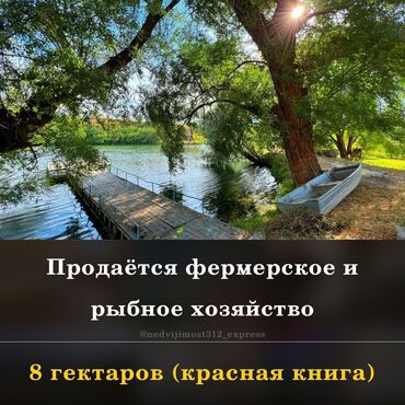 участок сатылат сокулук: Сатам Балык чарбачылыгы, 1500 соток, Иштеп жаткан, Жабдуулары менен, Электр энергиясы, Скважина, Муздак суу