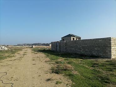 kend ehmedli: Tikinti, Mülkiyyətçi, Kupça (Çıxarış) — 8