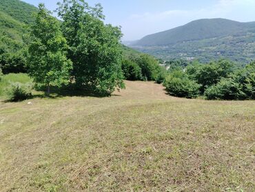 Torpaq sahələrinin satışı: Tikinti — 23