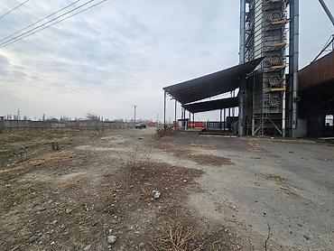 сон куль: 129 соток, Красная книга, Тех паспорт — 3