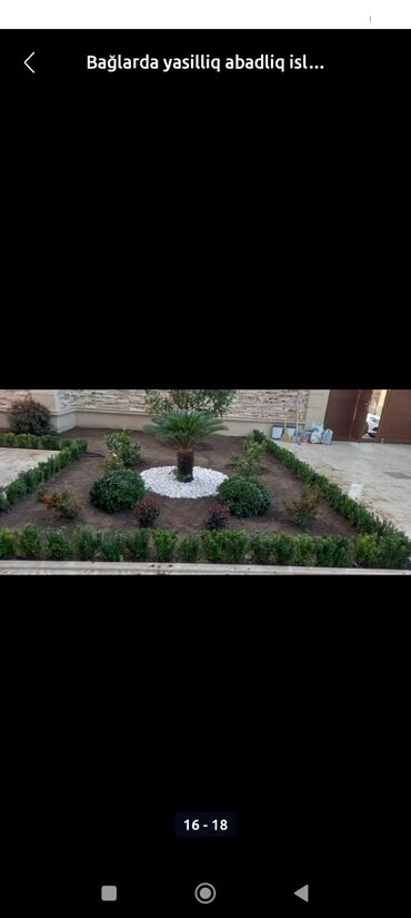 Landşaft işləri: Qazon catrlma qurasdrma agaclarin budanmasi dermanlanmasi ummu — 6