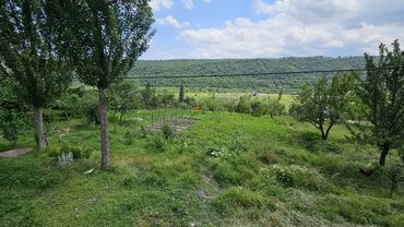 Torpaq sahələrinin satışı: Tikinti — 6