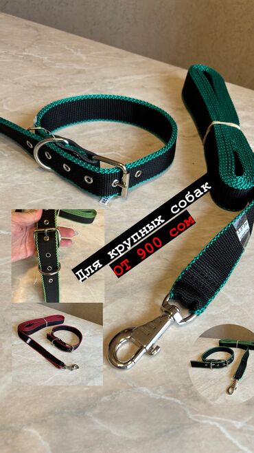 купить ошейник для щенка: Комплект ошейник+поводок для крупных собак. Амуниция из нейлона