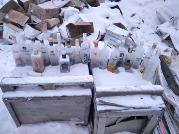 прием стеклянных бутылок бишкек в Кыргызстан | Оборудование для бизнеса: Приём Бутылки стеклянные всё виды в любом количестве