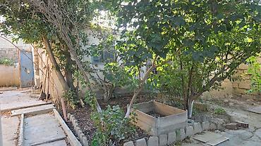 1 sot, Tikinti, Mülkiyyətçi, Kupça (Çıxarış)