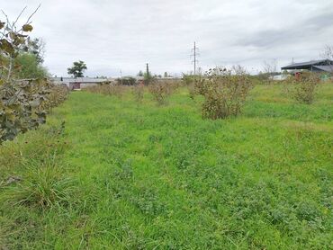 Torpaq sahələrinin satışı: 130 sot, Tikinti, Kupça (Çıxarış) — 21