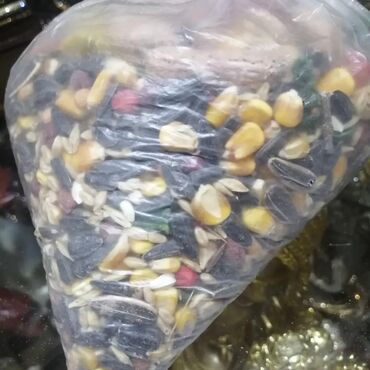 Dovşanlar: Dovşan yemləri Sadə və vitaminli topdan qiyməti Sadə yem 1.50azn — 8