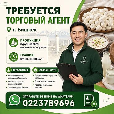 Вакансии: ВАКАНСИЯ: Торговый агент (пеший) по г. Бишкек 📍 Продукция: курут — 1
