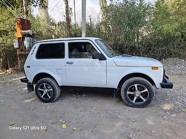 богажник на ниву: ВАЗ (ЛАДА) 4x4 Нива: 2010 г., 1.7 л, Механика, Бензин, Внедорожник — 3