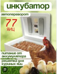 связи с переездом: Продается инкубаторы оптом ив розницу Россия Китай полный автомат