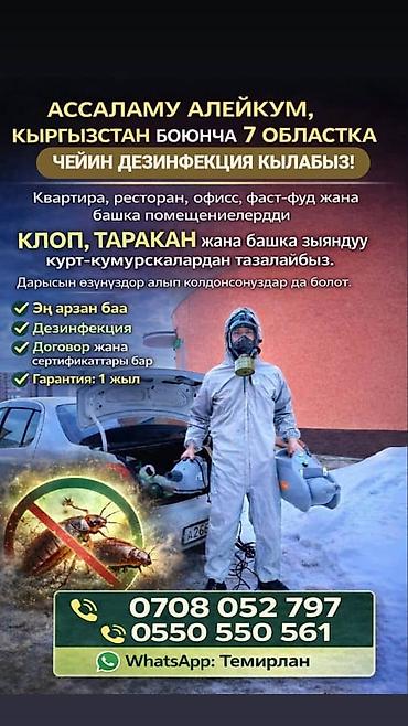 стирка ковров токмок: Дезинфекция, дезинсекция, | Клопы, Блохи, Тараканы, | Транспорт, Офисы, Квартиры — 8
