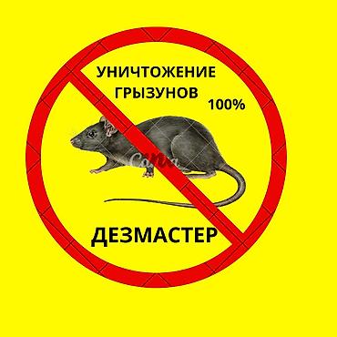 Дезинфекциялоо, дезинсекциялоо, | Бүргөлөр, Канталалар, Чычкандар жана келемиштер, | Үйлөр, Кафелер, дүкөндөр, Батирлер