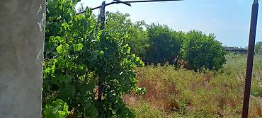 Torpaq sahələrinin satışı: 50 sot, Mülkiyyətçi, Kupça (Çıxarış) — 10