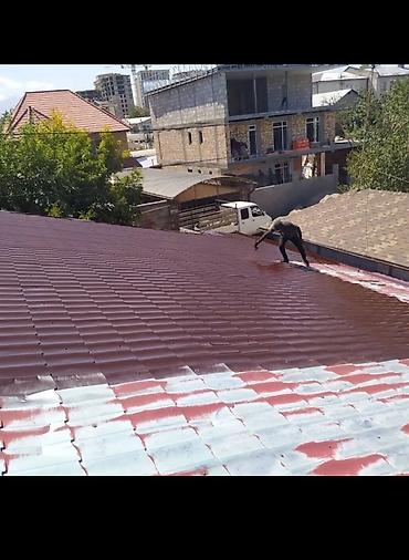 Покраска: Покраска стен, Покраска потолков, Покраска окон, На масляной основе, На водной основе, 3-5 лет опыта — 8