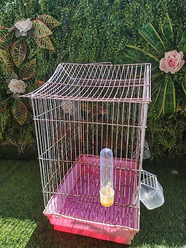 bulbul qefesi: Hündürlüyü 48sm, uzunluğu 40sm, eni 30 sm, diametri 60 sm Ən böyük — 3