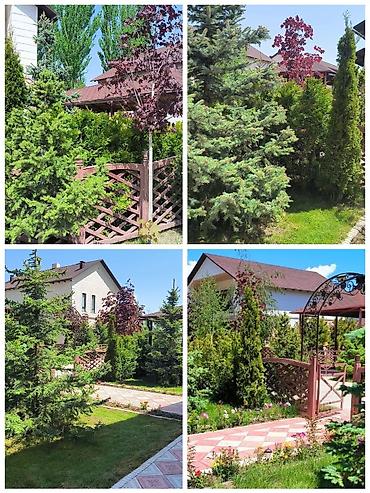 Детские лагеря на Иссык-Куле: Коттедж, Лазурный берег, Чок-Тал, 20+ мест — 6