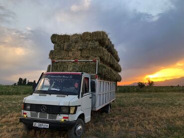 запчасти на опель зафира а: Mercedes-Benz : 1992 г., 2.9 л, Механика, Дизель, Van