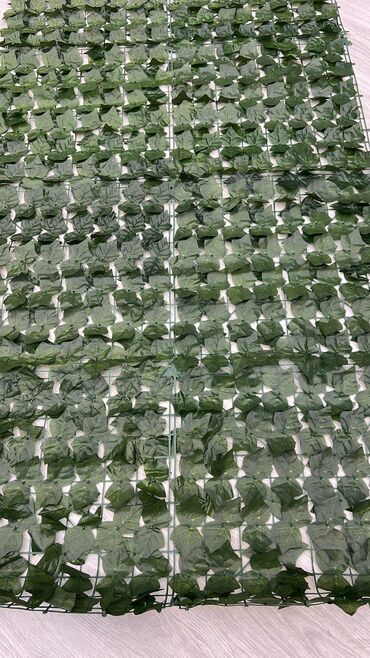 Toxumlar: 9 azn baslayan qiymetler Suni qazonlarin topdan satisi Suni qazon — 15