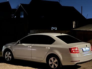 Skoda: Skoda Octavia: 2018 г., 1.6 л, Автомат, Бензин, Седан — 8