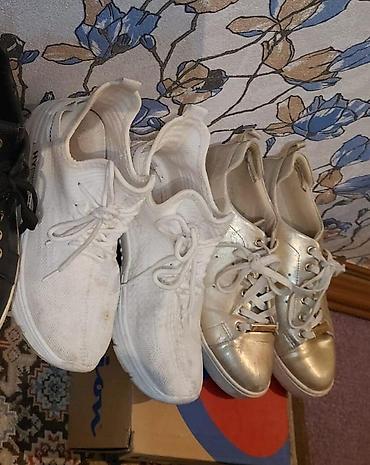Krasofkalar və idman ayaqqabıları: Adidas orjinal poma [her biri 10 ] 39_40 ölçü qalanlar 3 ededi 10 — 4