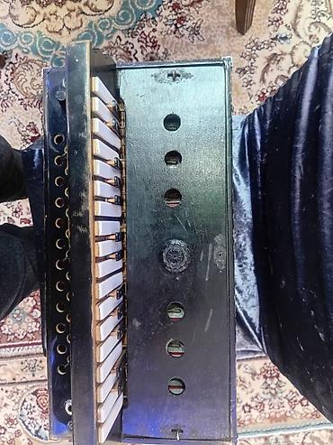 Qarmonlar: Qarmon, Akustik — 10