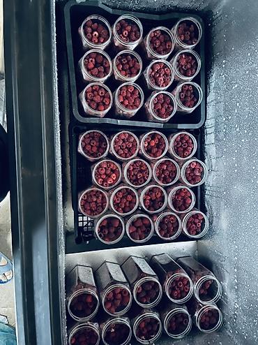 бишкек товары оптом: Продаю малину оптом и в розницу 
малины много 
цена за банку :200сом — 4