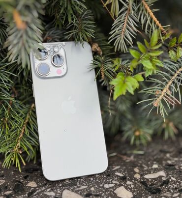 144 герц монитор: IPhone 15 Pro Max, Колдонулган, 256 ГБ, Natural Titanium, Кулакчындар, Заряддоочу түзүлүш, Каптама, 90 %