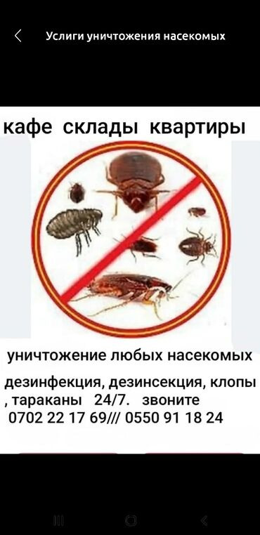 стирка ковров на дому: Дезинфекция, дезинсекция, | Клопы, | Квартиры