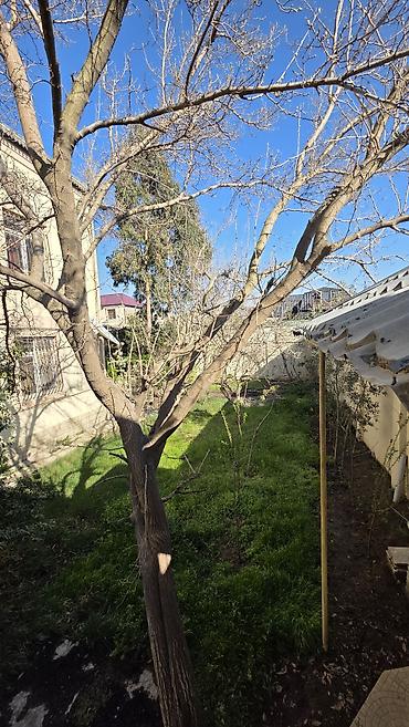 Həyət evləri və villaların satışı: 6 otaqlı, 450 kv. m — 6