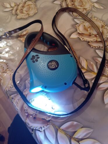 it ucun yuva: İşıqlı avtomatik it qandalağı (retraktorlu) - Korpus: mavi-qara lalafo.az -da it ucun yuva: İşıqlı avtomatik it qandalağı (retraktorlu) - Korpus: mavi-qara