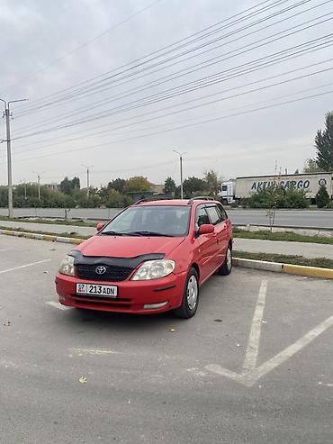 Toyota: Toyota Corolla: 2003 г., 2 л, Механика, Бензин, Универсал — 11
