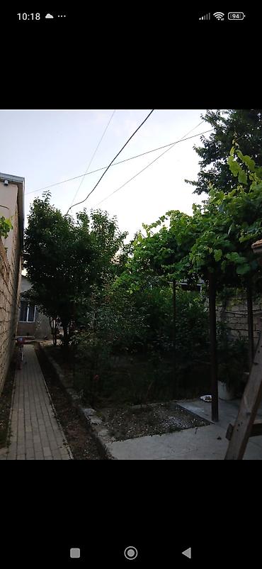 3 sot torpaq: 3 otaqlı, 110 kv. m, Kredit yoxdur, Yeni təmirli — 1